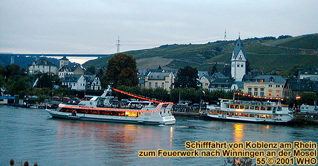 Boat cruise to the firework display "The Moselle River in fire magic"